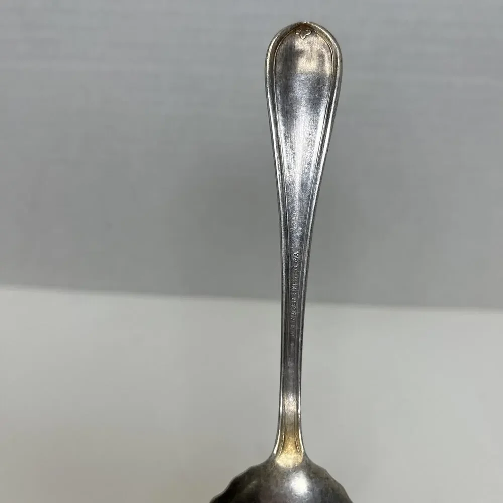 Antique Wm Rogers & Son Silverplate AA Berry/Serve Spoon -Daisy Pattern - Sugar